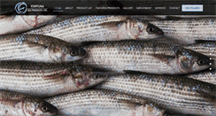 Desktop Screenshot of fortunasea.com